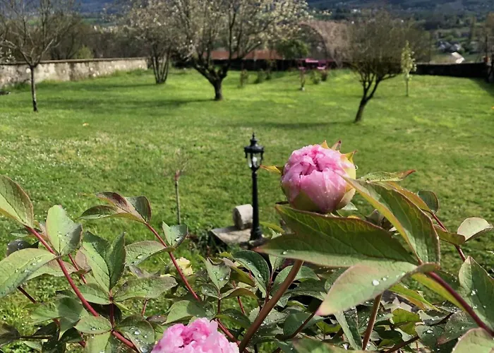 Chateau D'apremont ベッド・アンド・ブレックファスト